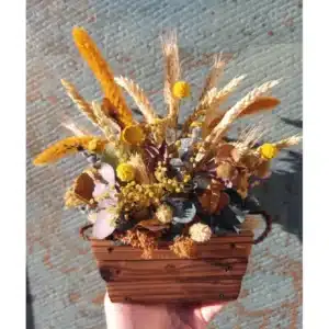 Flores preservadas 1