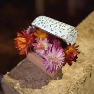 Flores preservadas 9